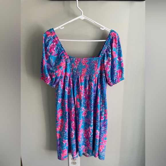 Lilly Pulitzer Delaney Short Sleeve Dress - Blue and Pink - Size 2 - Picture 10 of 15